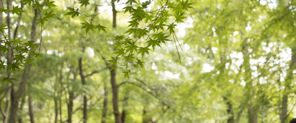 ゴールデンウィークの営業日