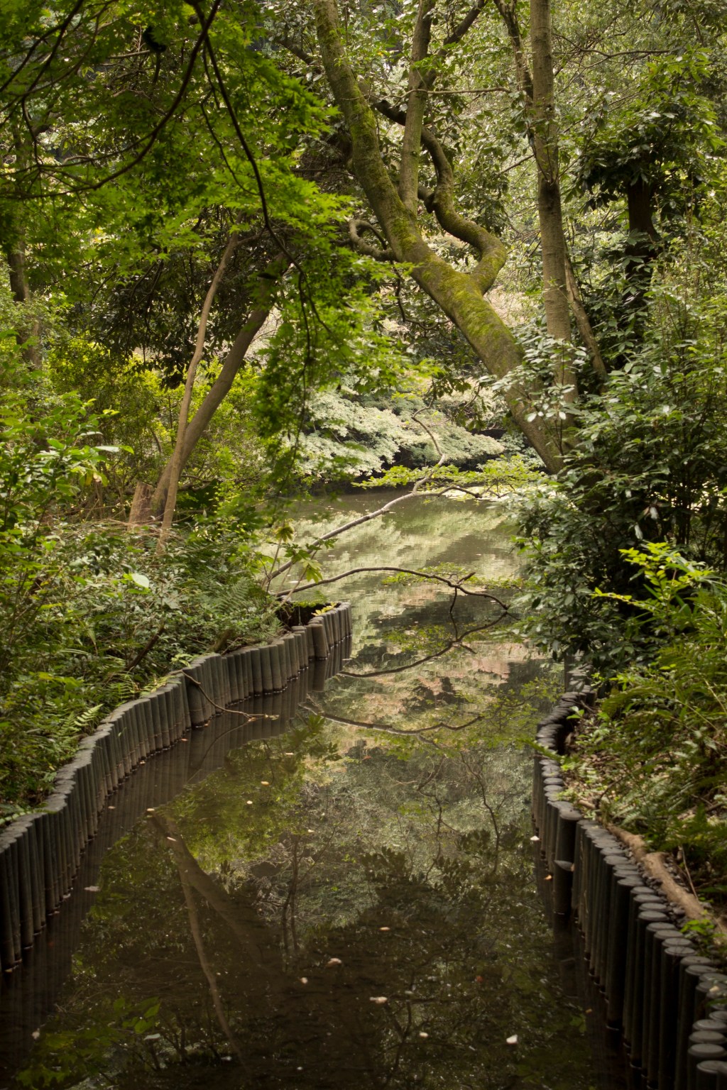年末年始のお知らせです
